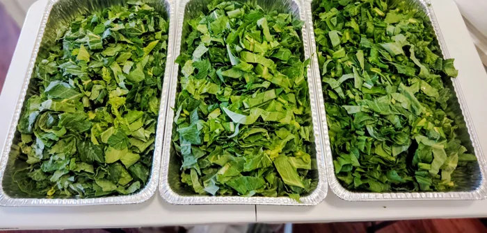 Three catering pans filled with seasoned collard greens